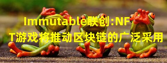 Immutable联创:NFT游戏将推动区块链的广泛采用