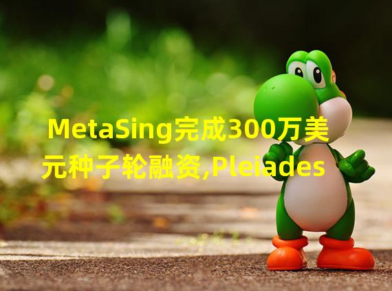 MetaSing完成300万美元种子轮融资,Pleiades Capital 领投