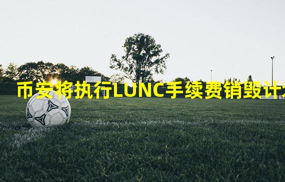 币安将执行LUNC手续费销毁计划