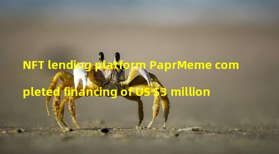 NFT lending platform PaprMeme completed financing of US $3 million