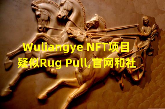 Wuliangye NFT项目疑似Rug Pull,官网和社群已关闭