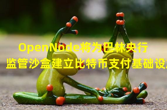 OpenNode将为巴林央行监管沙盒建立比特币支付基础设施