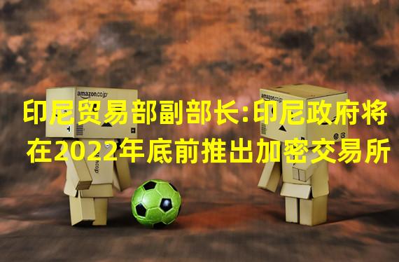 印尼贸易部副部长:印尼政府将在2022年底前推出加密交易所