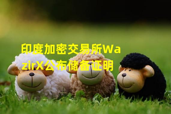 印度加密交易所WazirX公布储备证明