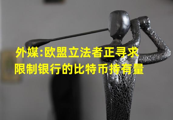 外媒:欧盟立法者正寻求限制银行的比特币持有量