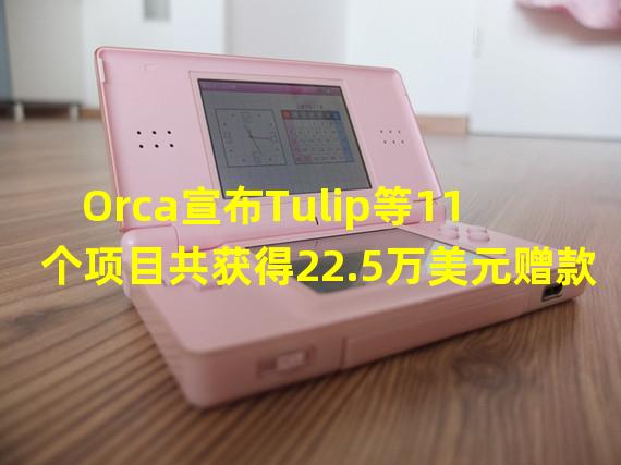 Orca宣布Tulip等11个项目共获得22.5万美元赠款