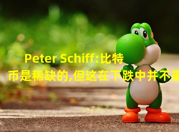 Peter Schiff:比特币是稀缺的,但这在下跌中并不重要