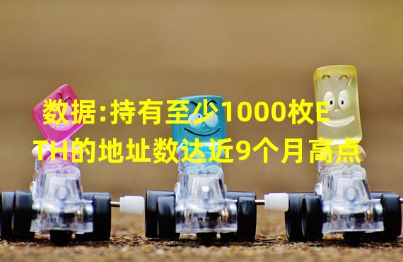 数据:持有至少1000枚ETH的地址数达近9个月高点