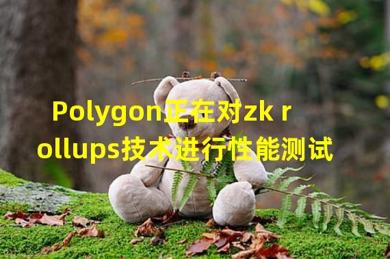 Polygon正在对zk rollups技术进行性能测试