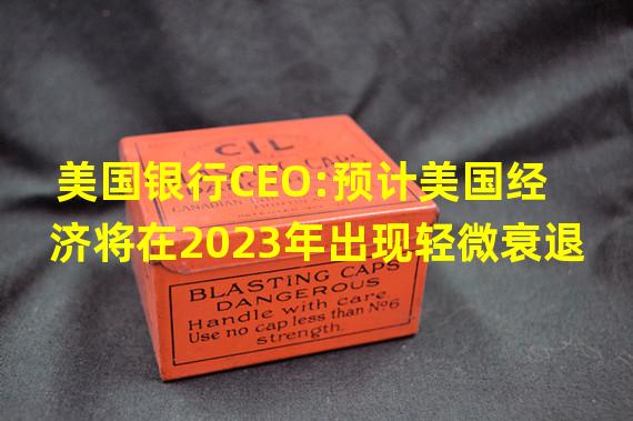 美国银行CEO:预计美国经济将在2023年出现轻微衰退