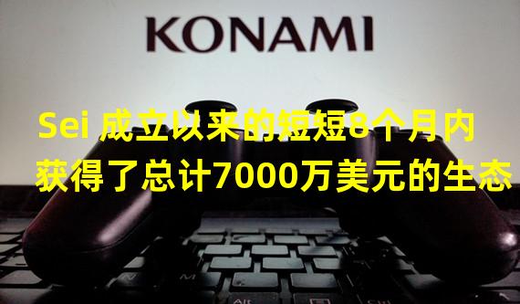 Sei 成立以来的短短8个月内获得了总计7000万美元的生态系统资金