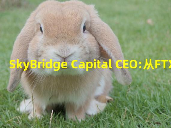 SkyBridge Capital CEO:从FTX回购股份可能需要数月的时间
